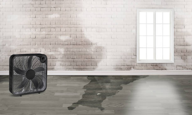 Best Fire Damage Restoration  in Roberta, GA
