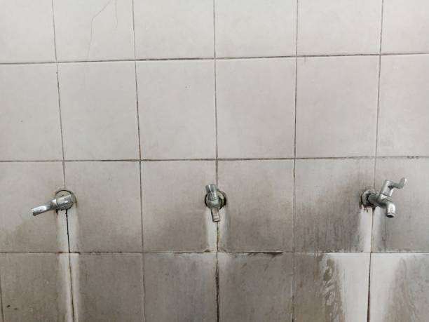 Best Residential water damage restoration  in Roberta, GA
