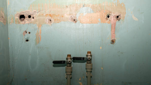 Best Water damage restoration process  in Roberta, GA