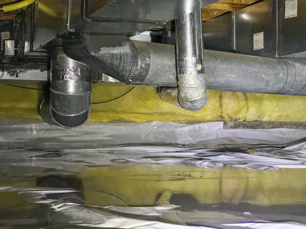 Best Water damage restoration near me  in Roberta, GA