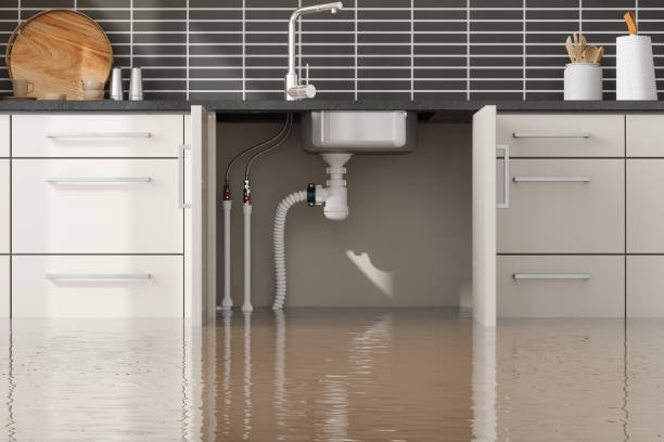 Best 24-hour water damage restoration  in Roberta, GA