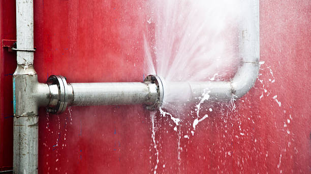 Best Flood restoration services  in Roberta, GA